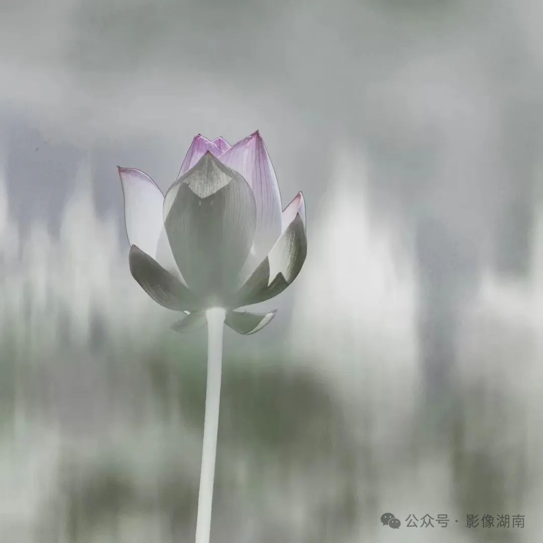 DƬ